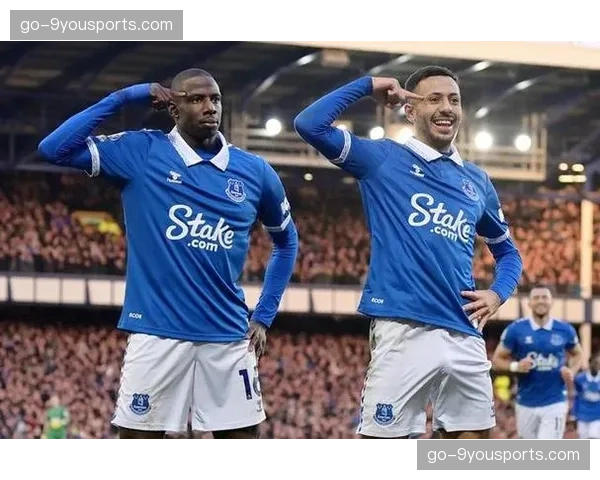 埃弗顿1-0小胜西汉姆联，脱离降级区